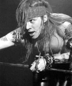 Axl87.jpg (9522 bytes)