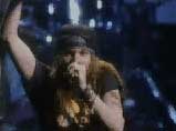 AxlLive.jpg (2882 bytes)