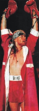 axlbox.jpg (28516 bytes)