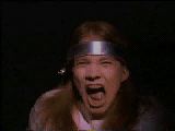 wttj.jpg (4837 bytes)